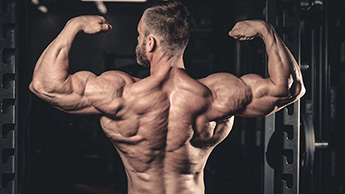 Quale attrezzatura per il fitness può essere utilizzata per l'allenamento dei muscoli delle spalle?