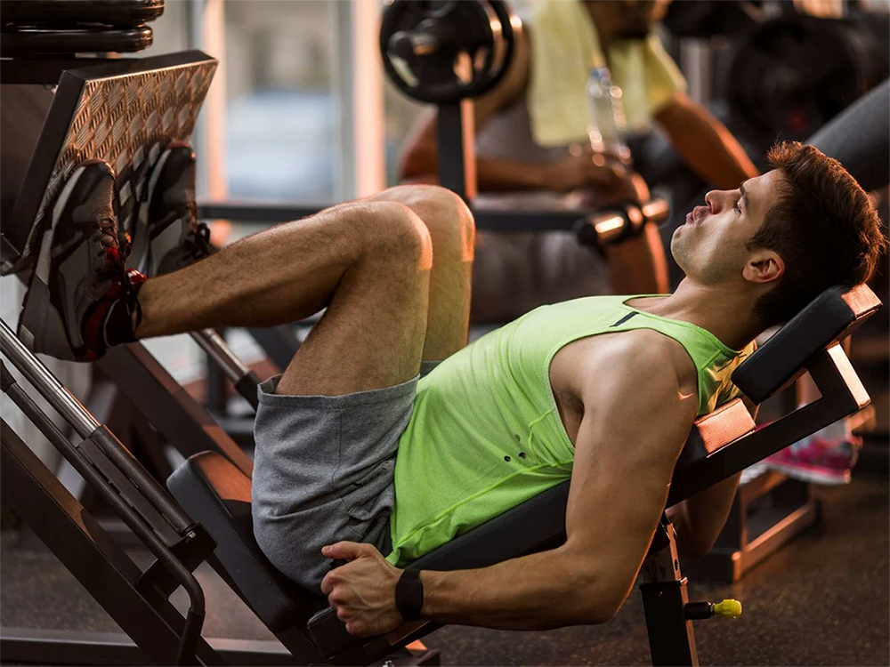 Leg Curl vs Leg Press: Quale è meglio per l'allenamento delle gambe?