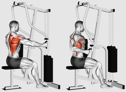 Dovremmo concentrarci sui rematori o sulle trazioni per un migliore allenamento della schiena?