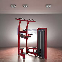 Machine di immersione e pull-up assistita