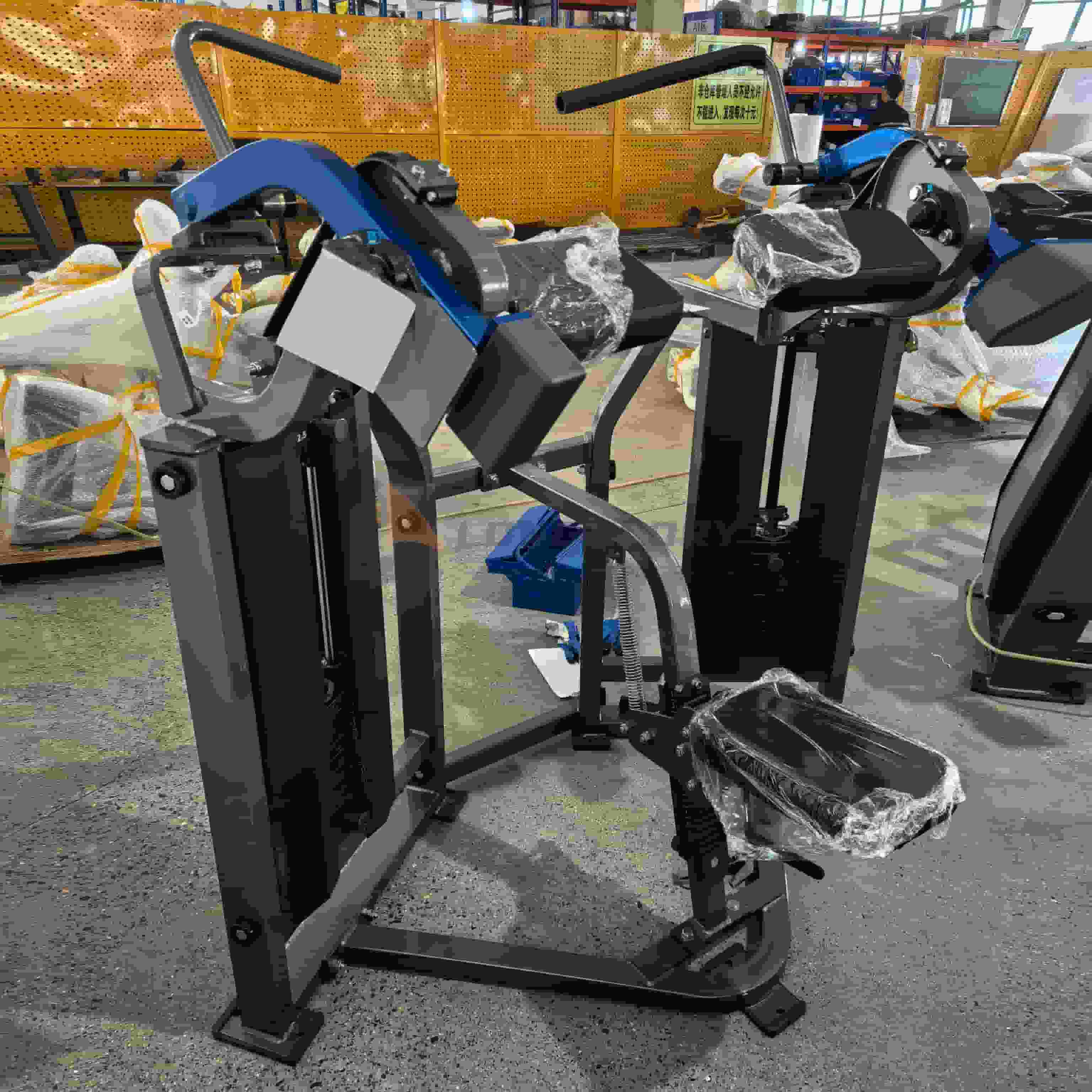 Macchina per curl bicipiti da palestra